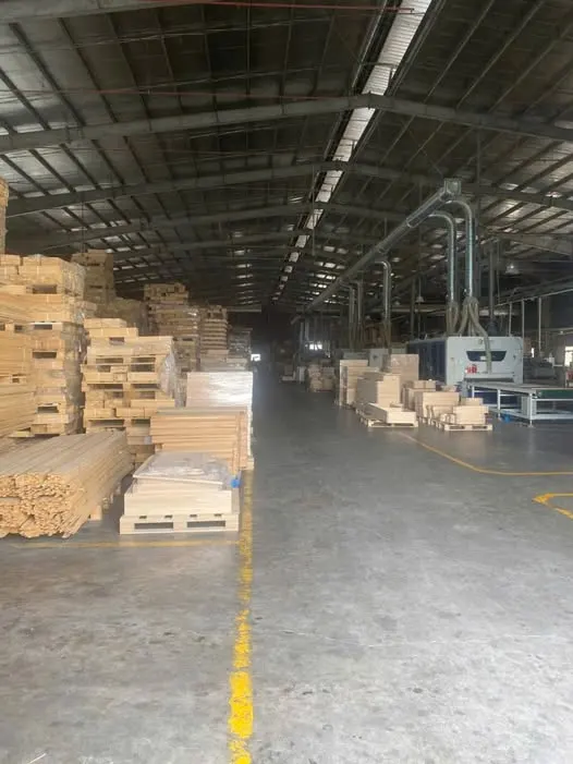 Cho thuê nhà xưởng 8.000m2 trong KCN Bình Dương, TP.HCM