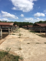 cho thue trai nuoi bo tai xuan loc dong nai