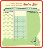 vuon dau tam golden silk 199 trieu vuon 2009m2 cho thue ngay 3 trieu  loi nhuan 18  nam